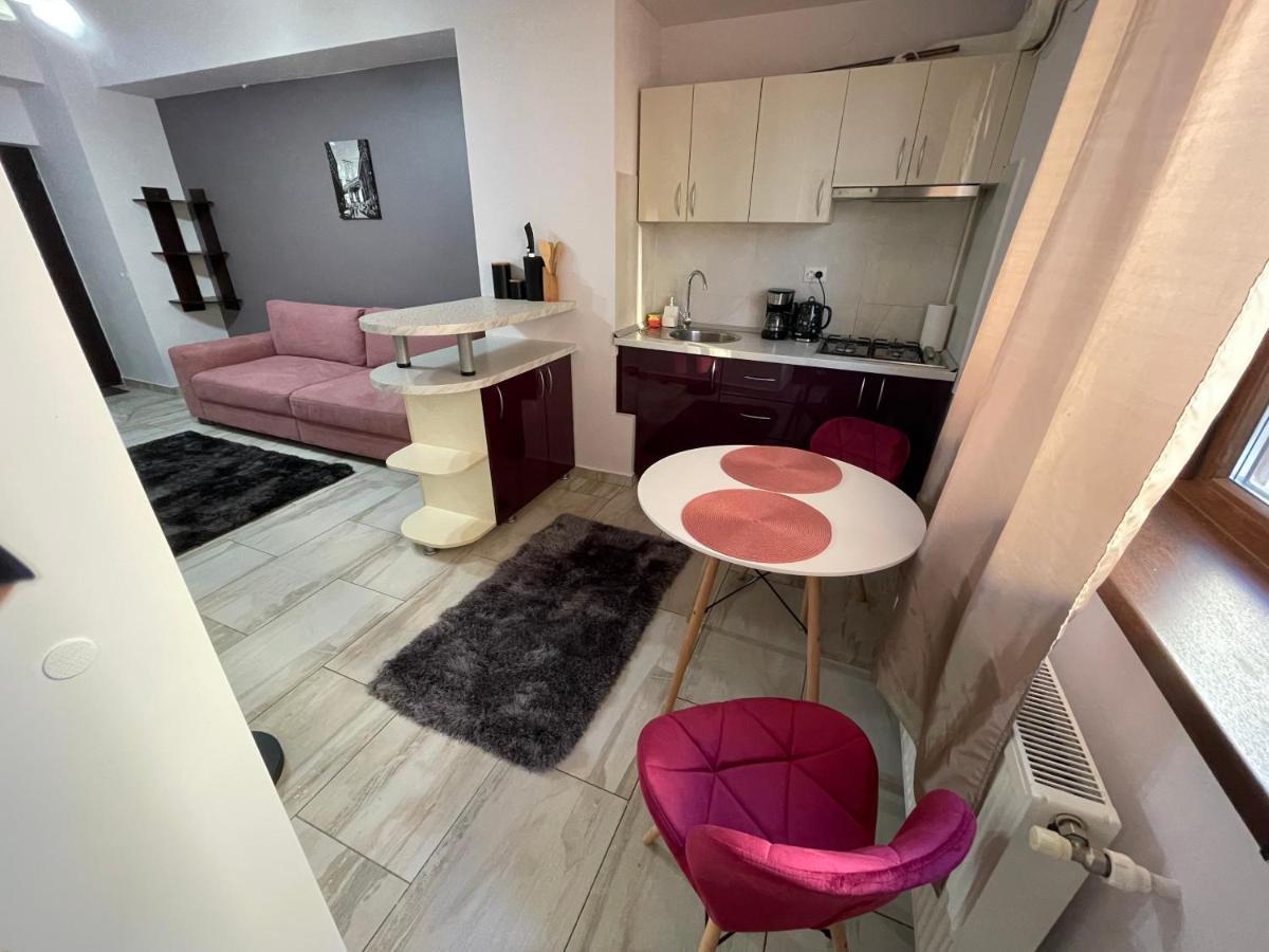 Le Lupin / Center Apartment Iasi Luaran gambar